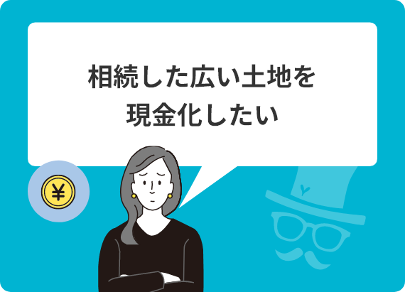 相続した広い土地を現金化したい